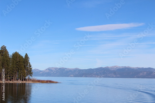 Forest and Lake Scene