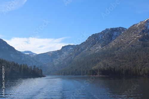 Forest and Lake Scene