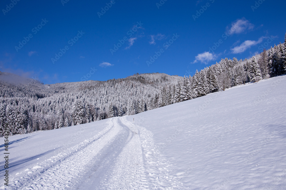 Idyllic winter landscape in the Seckauer Alpen in Austria