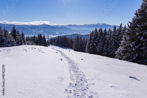 Idyllic winter landscape in the Seckauer Alpen in Austria © Photofex