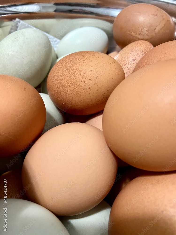 Clean eggs in a bowl Clean eggs in a bowl