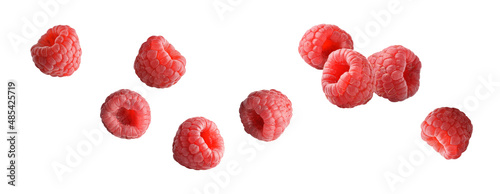 raspberry fly red berry on white