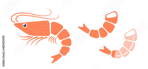 Vector illustration of shrimps in flat style.