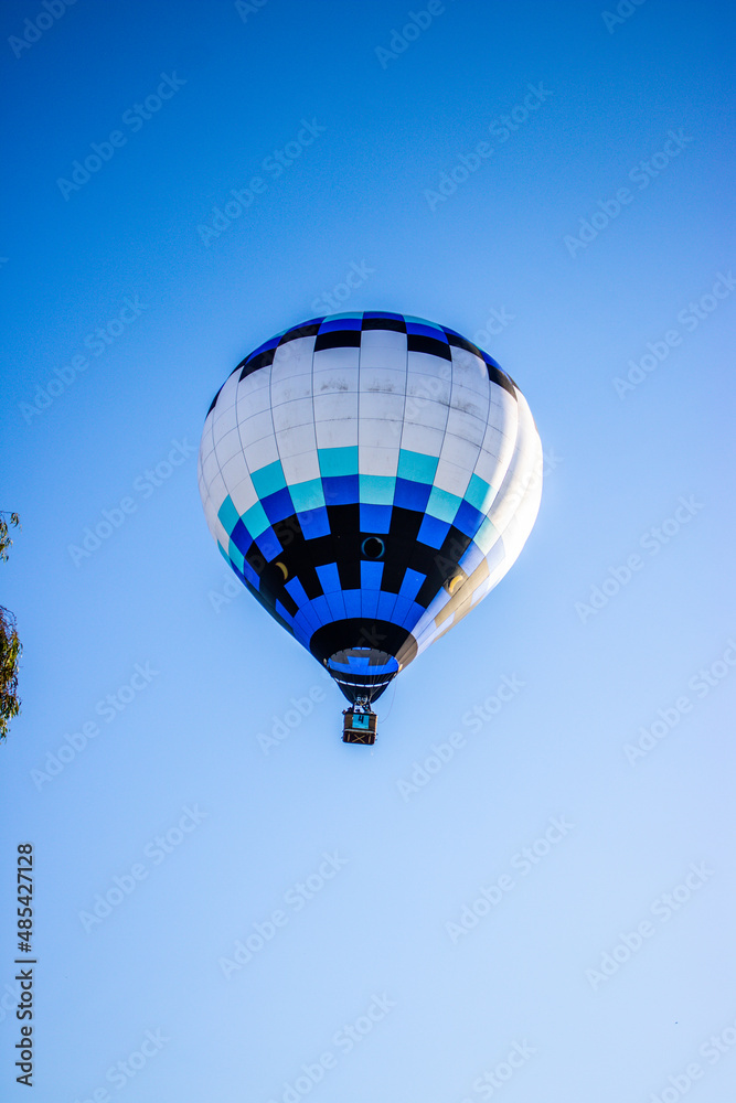 Fototapeta premium hot air balloons
