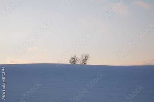 sunset on snowy field