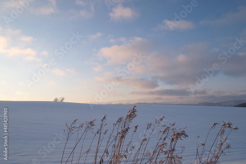 sunset on snowy field