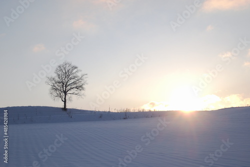 sunset on snowy field