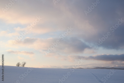 sunset on snowy field