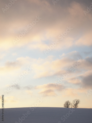 sunset on snowy field