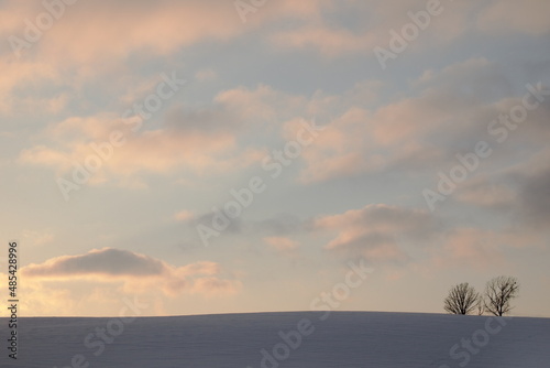 sunset on snowy field