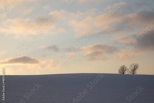 sunset on snowy field