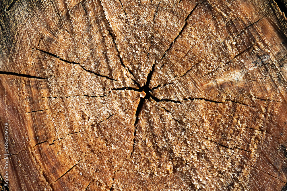Wood abstract texture. Surface grunge backdrop. Dirty wooden effect pattern. Material background. Wood abstract texture. Surface grunge backdrop. Dirty wooden effect pattern. Material background.