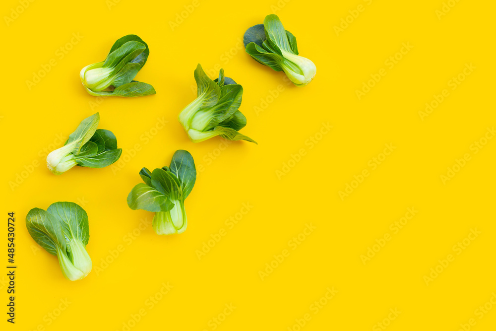 Fototapeta premium Bok choy on yellow background.