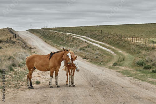 Foto tomada en un camino rural en la cercanía de Sierra de la Venta, Buenos Aires, Argentina