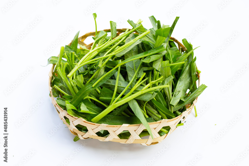Morning glory in bamboo basket on white background. Morning glory in bamboo basket on white background.