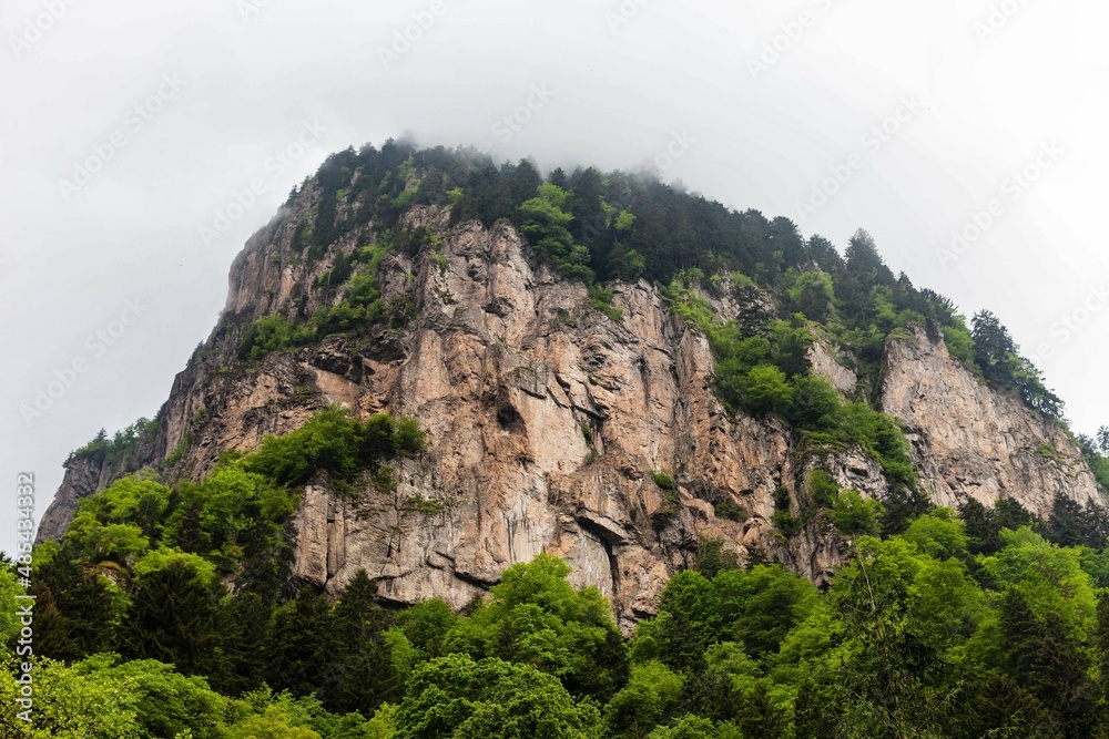 rock in the mountains rock in the mountains