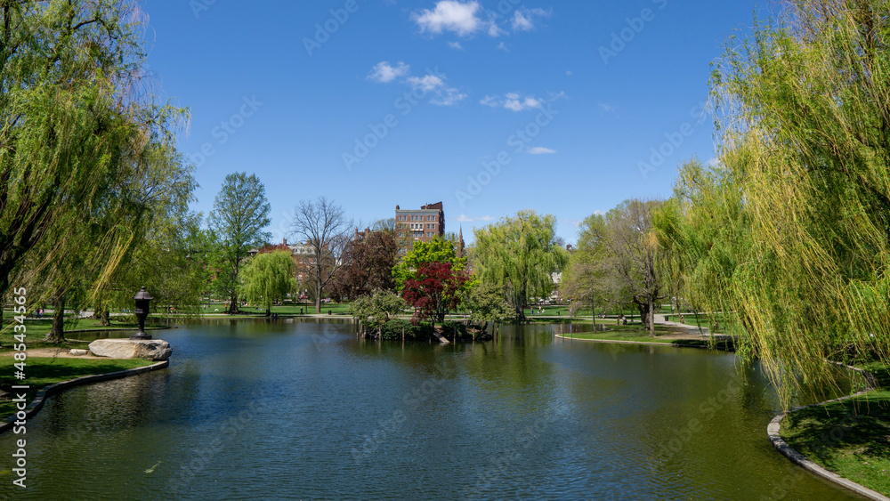 Obraz premium river in the park