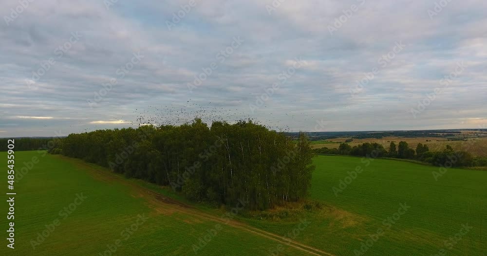 Flight over a harvested wheat field Flight over a harvested wheat field