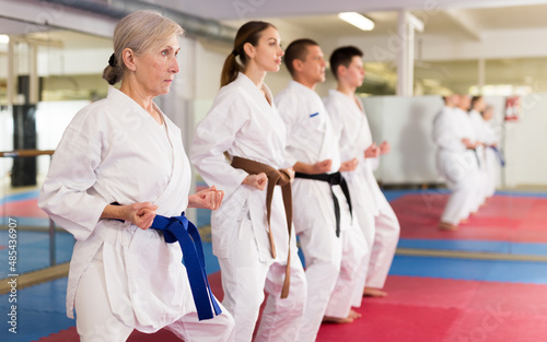 Modern determined aged woman practicing martial arts with group of adults in gym. Seniors active lifestyle concept