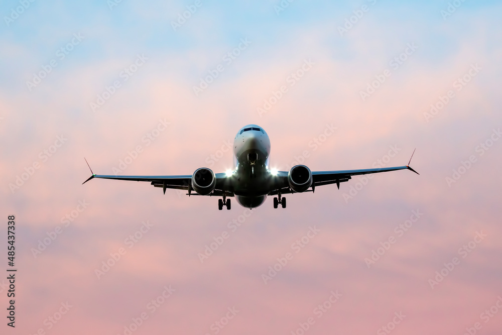 Passenger jet plane flies in the sky. Air transport industry
