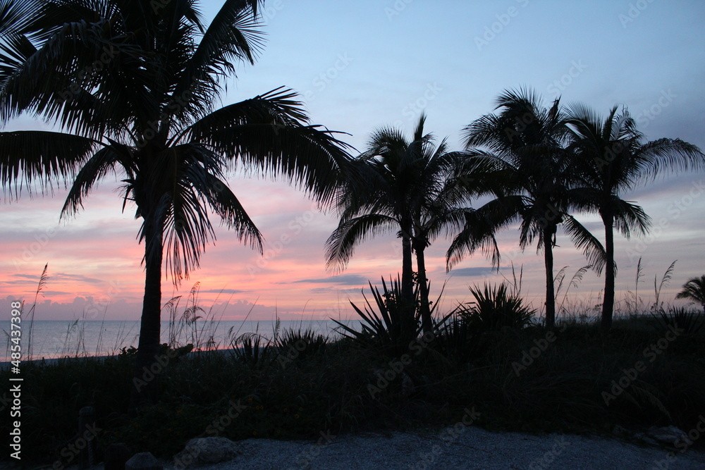 Fototapeta premium sunset over the beach