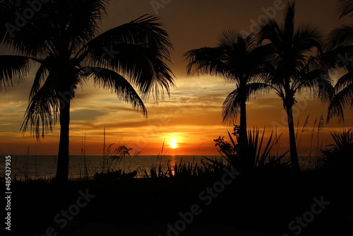 Sunset over beach in the palm trees