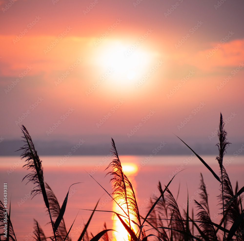 sunset in the field sunset in the field