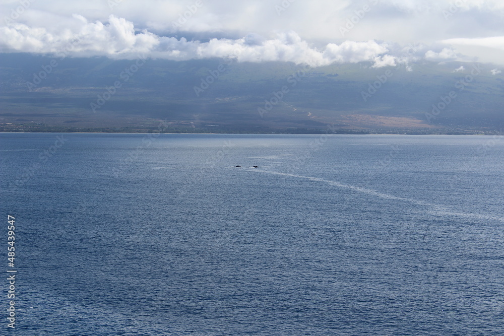 Ocean vies Ocean vies