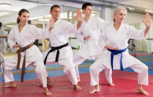 People of different ages performing kata moves in gym during karate training.