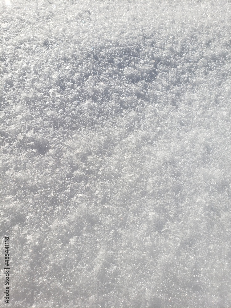 Obraz premium Glittering snow