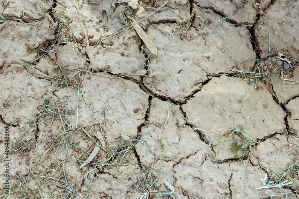 cracked soil texture cracked soil texture