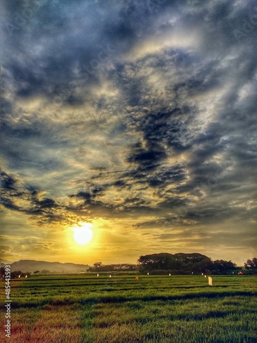 sunset over the field