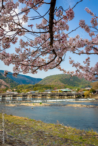 京都にある嵐山の渡月橋付近で見た、満開の桜と快晴の青空 © 和紀 神谷