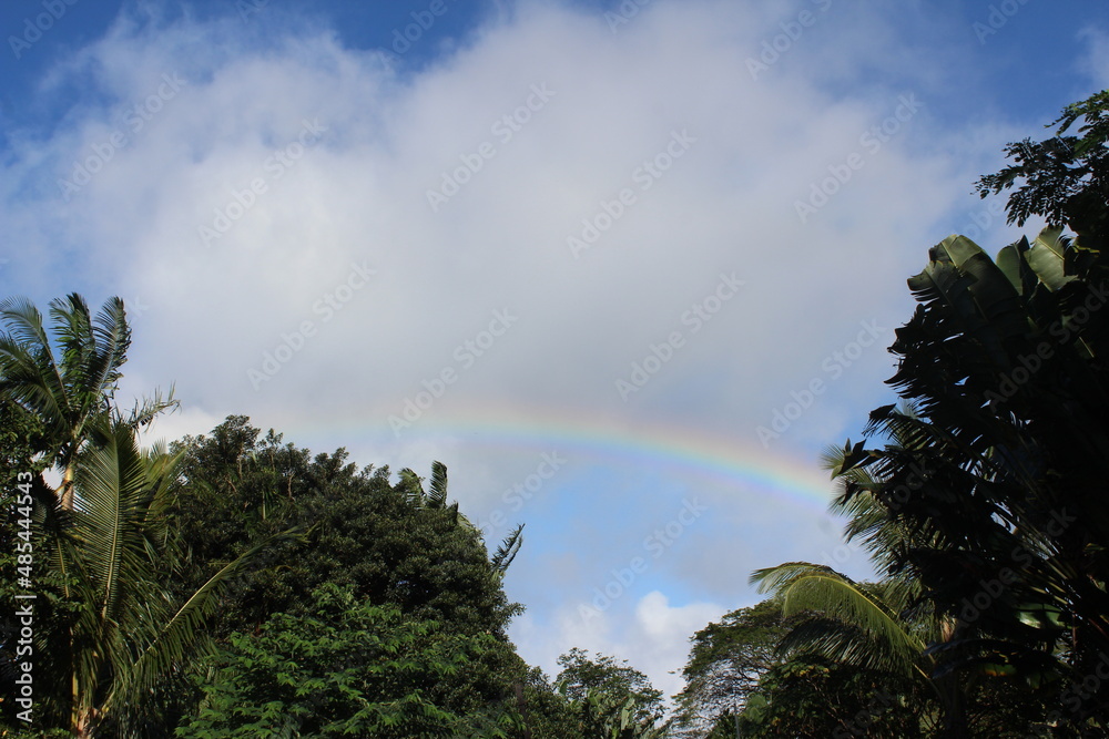 Obraz premium Hawaiian Rainbow