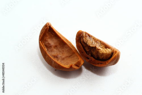  coffee bean is a seed of the Coffea plant and the source for coffee