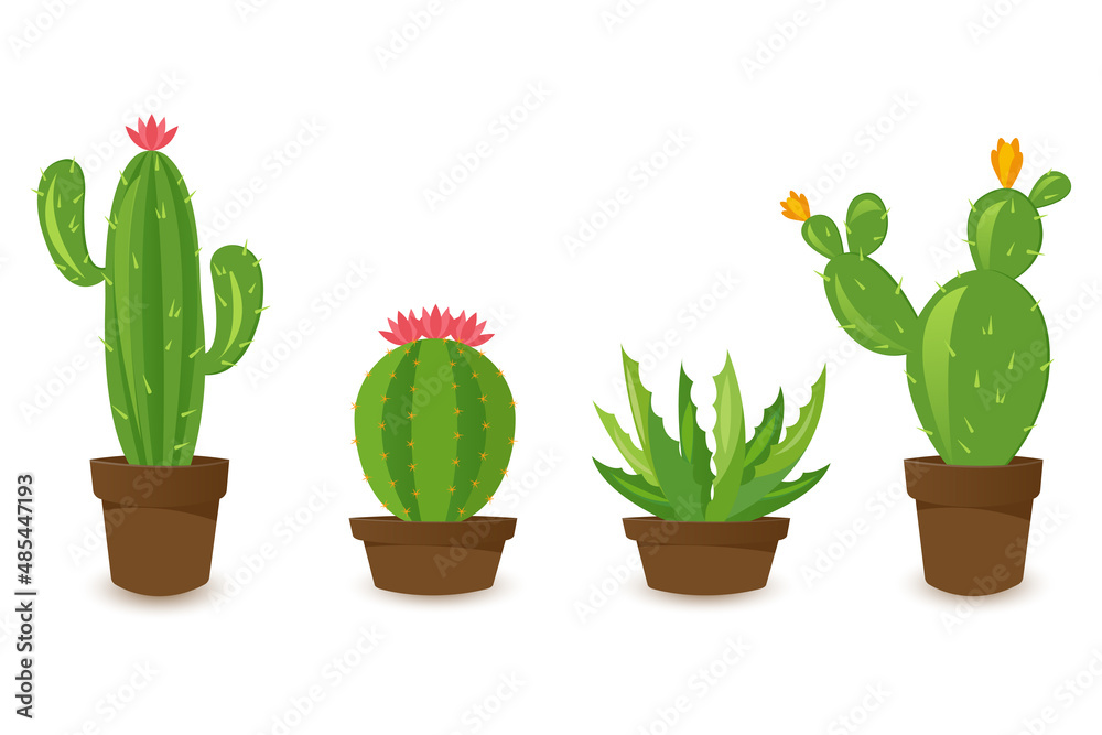 Desert banner set, green cactus world. Flat cartoon style. Vector illustration isolated on white background. Design elements