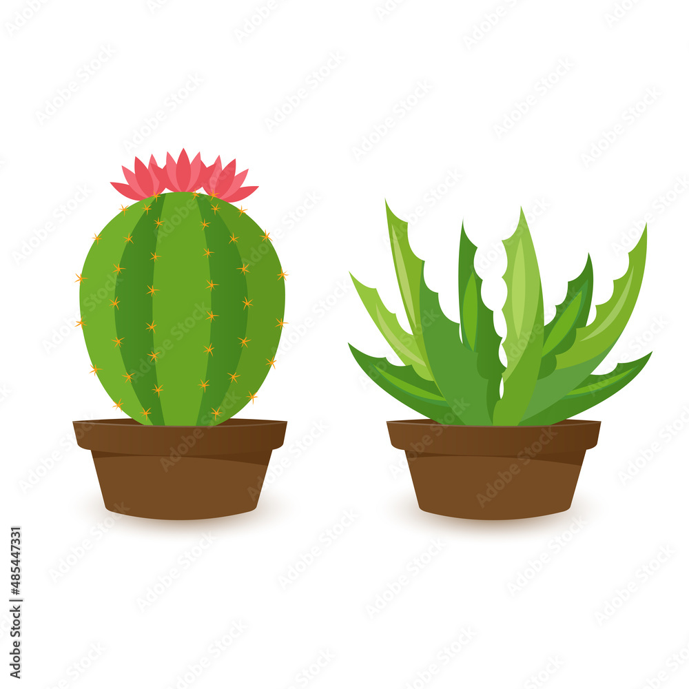 Fototapeta premium Desert banner set, green cactus world. Flat cartoon style. Vector illustration isolated on white background. Design elements
