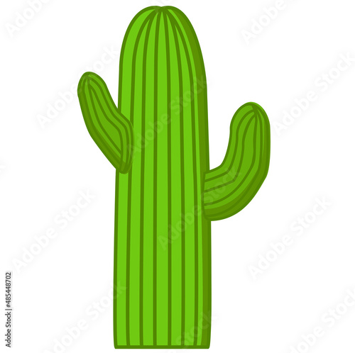 Vector cactus con brazos, planta cactácea del desierto