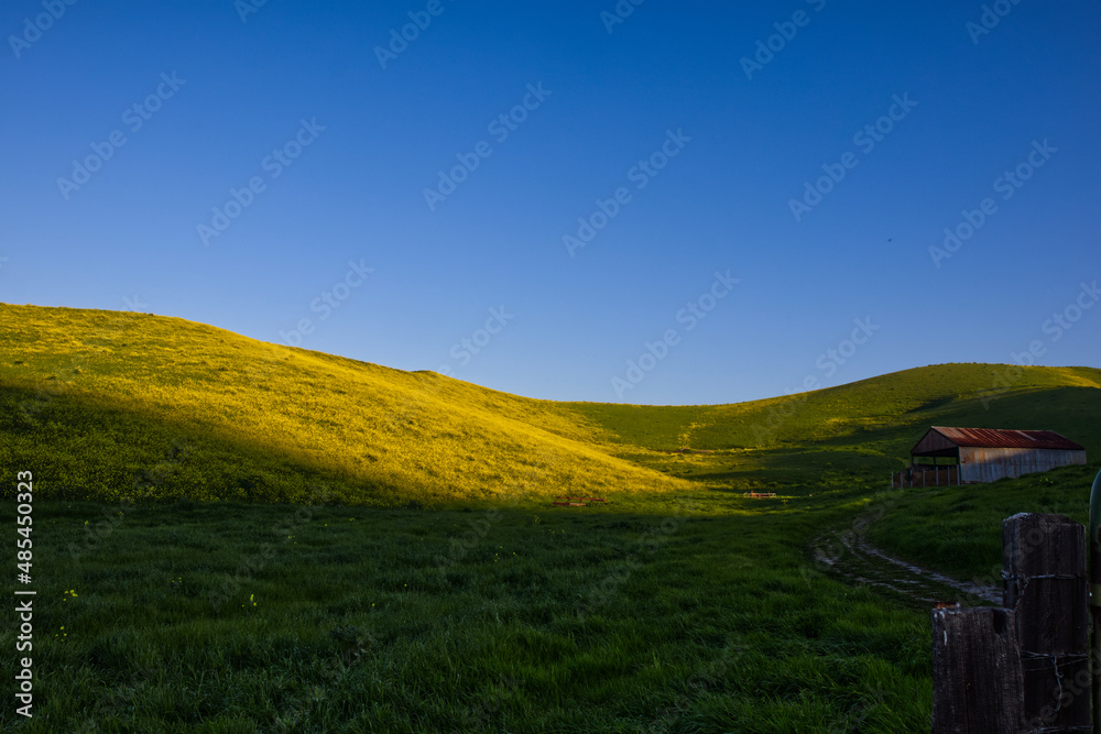 Obraz premium IMG_4527