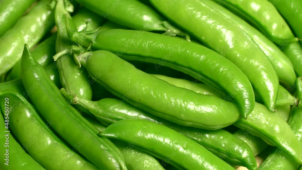 Fresh green pea pods rotation. Loop motion Fresh green pea pods rotation. Loop motion