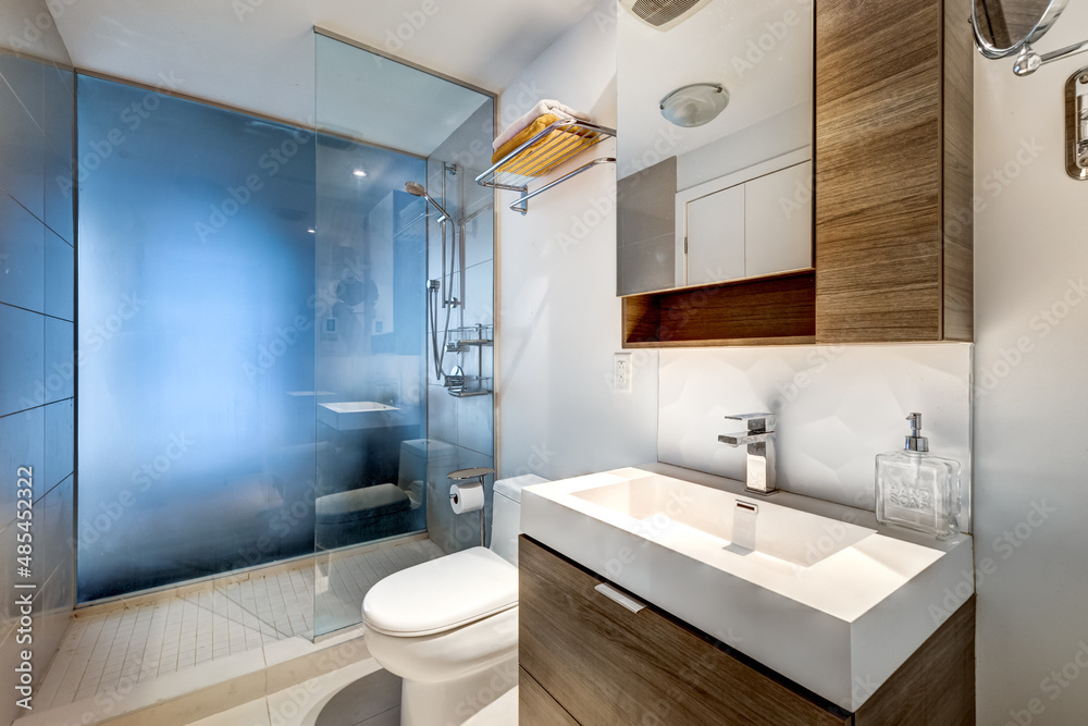 Nice apartment for rent in downtown Montreal, nicely staged and furnished with kitchen, open style bedroom, modern bathroom with shower, sauna, billiards, swimming pool, gym and city vews