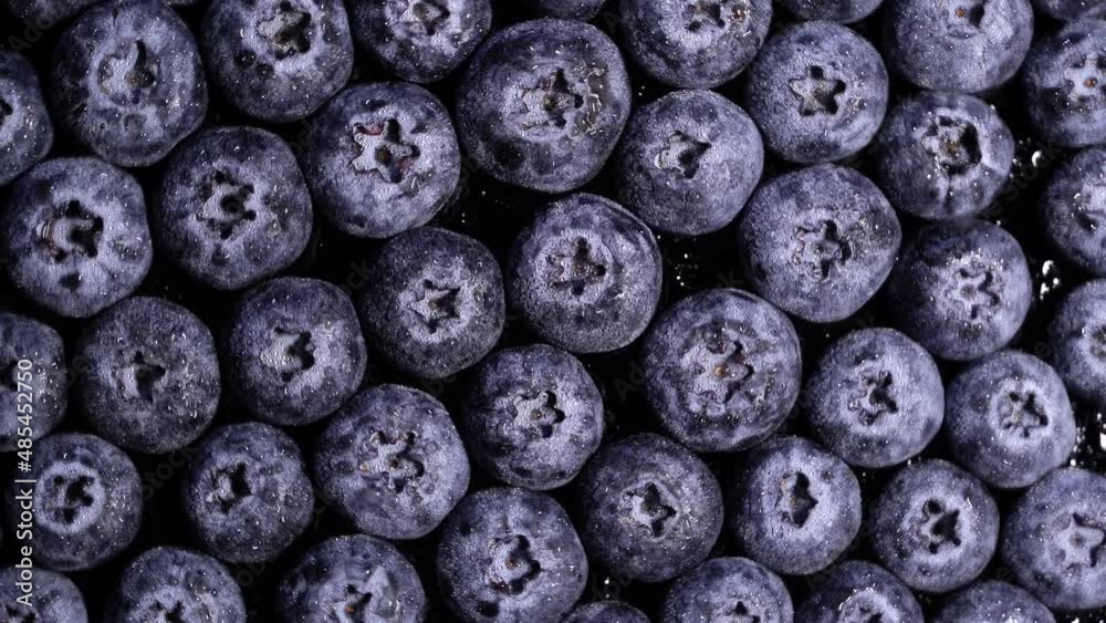 Fresh juicy blueberries rotation backgound. Close up. Loop motion