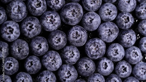 Fresh juicy blueberries rotation backgound. Close up. Loop motion