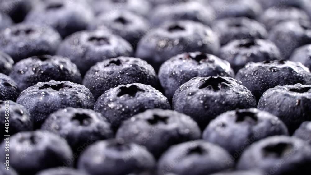 Fresh juicy blueberries rotation backgound. Close up. Loop motion