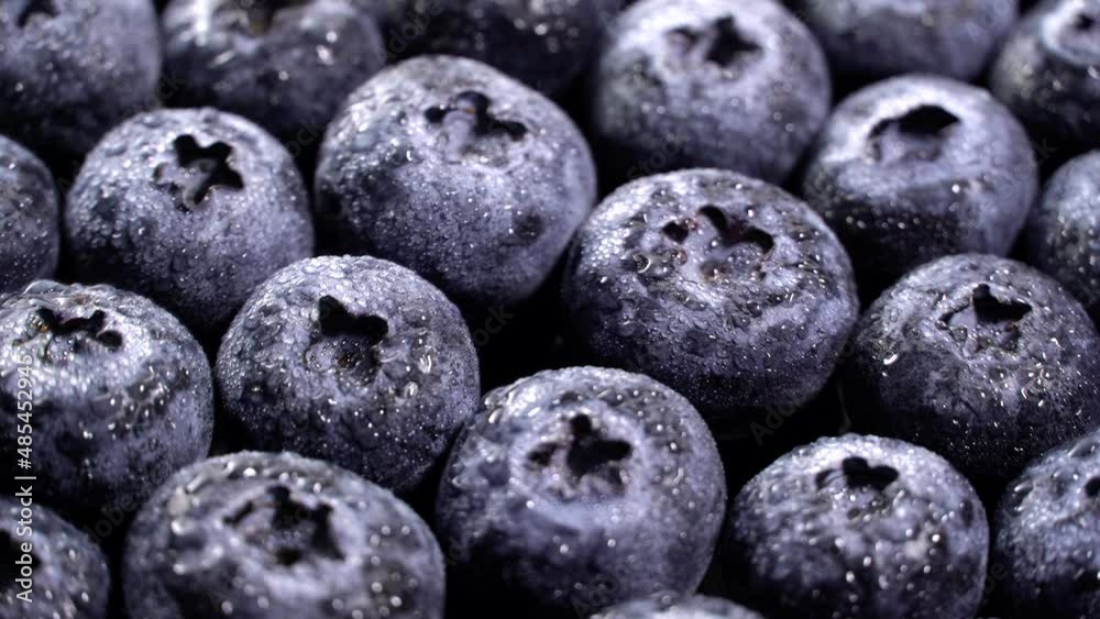 Fresh juicy blueberries rotation backgound. Close up. Loop motion