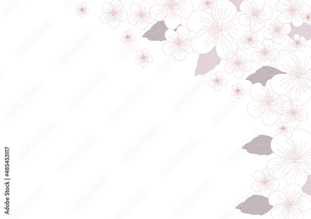 桜の花が美しい線画の背景素材