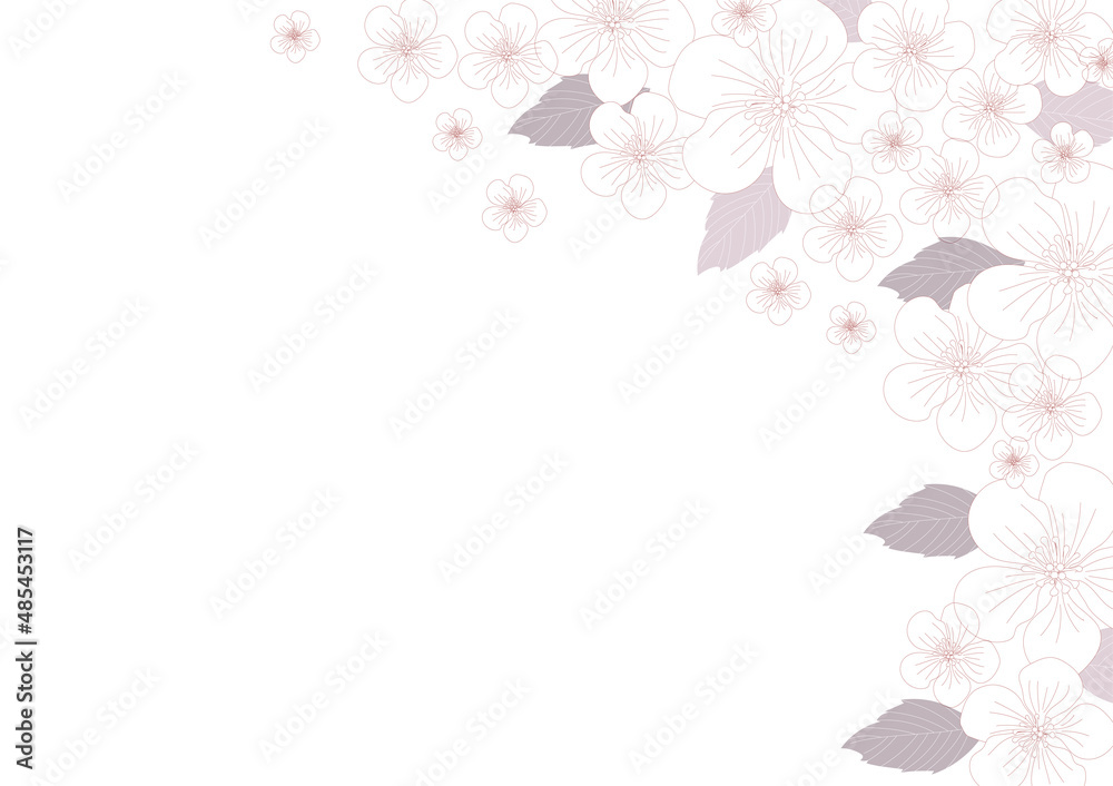 桜の花が美しい線画の背景素材 桜の花が美しい線画の背景素材