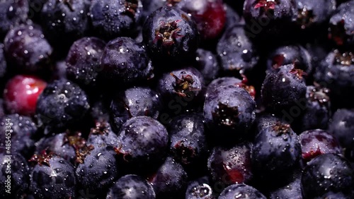 Fresh juicy serviceberries (shadberries) rotation background. Loop motion