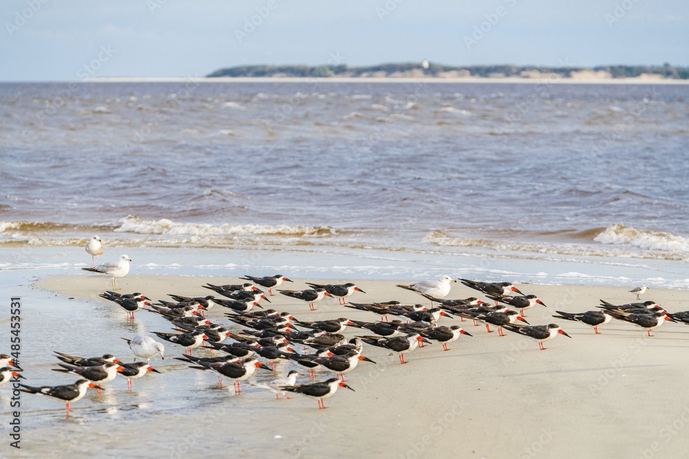 Fototapeta premium creative