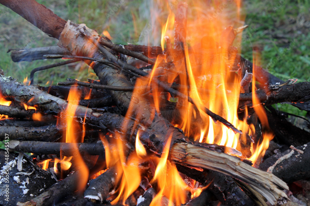 fire in the forest fire in the forest